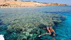 🌎 ЕГИПЕТ. ШАРМ-ЭЛЬ-ШЕЙХ  Египет вылет из Кишинева.  Вылеты на 6/7 ночей/Всё включено на двоих  Цена: от 1020 € за двоих  DIVE INN  4* = от 1020 € за двоих XPERIENCE ST. GEORGE HOMESTAY 4* = от 1045 € за двоих SHARM GRAND PLAZA RESORT 5* = от 1280 € за двоих RENAISSANCE GOLDEN VIEW 5* = от 1360 € за двоих  ALBATROS AQUA BLU 5* = от 1530 € за двоих ALBATROS AQUA PARK 5* = от 1590 € за двоих ROYAL ALBATROS MODERNA 5* = от 1650 € за двоих ALBATROS PALACE 5* = от 1720 € за двоих REEF OASIS BEACH RESORT = от 174